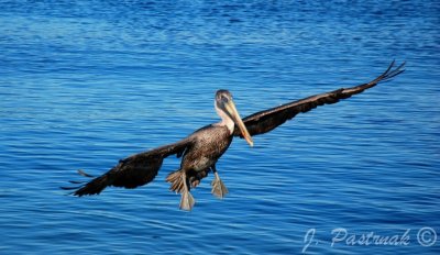 DSC_0599-zoner.jpg