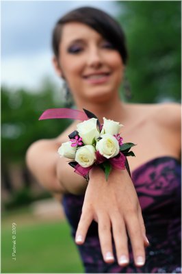 DSC_7882 -df-F+S.jpg