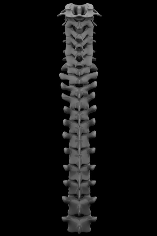 r36.jpg