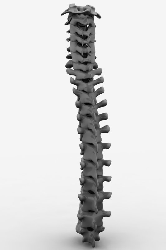 r38.jpg