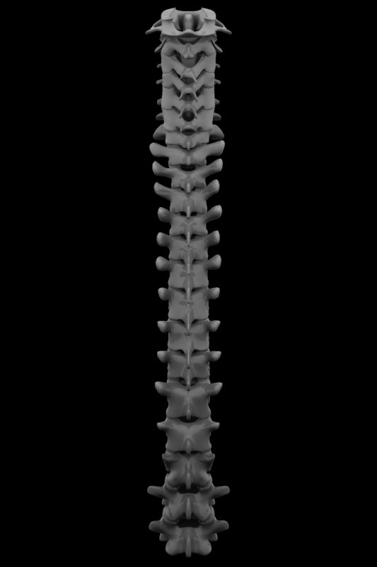 r47.jpg