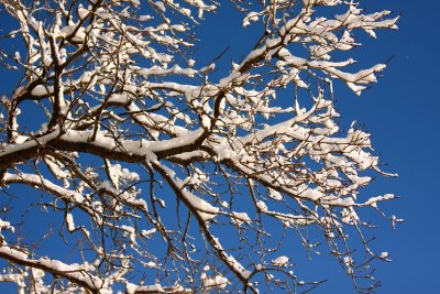IMG_9287.JPG