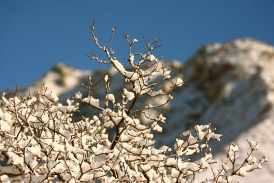 IMG_9294.JPG