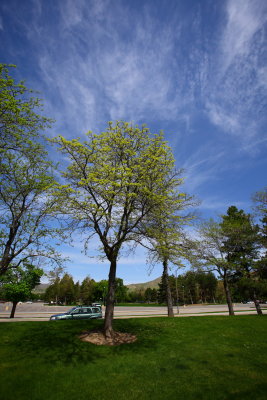 Parking Lot
