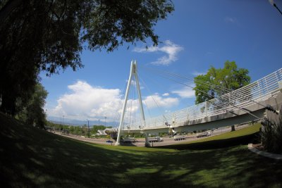 Bridge