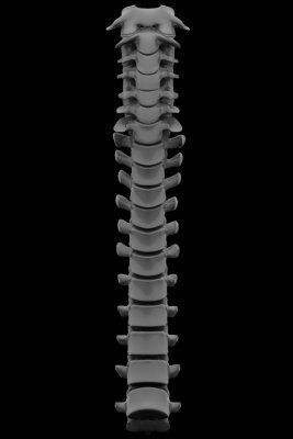 r34.jpg