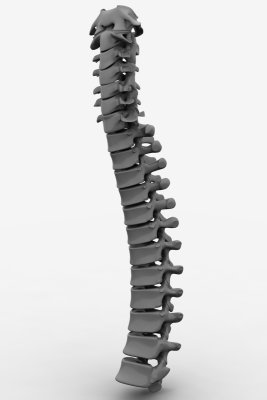 r37.jpg