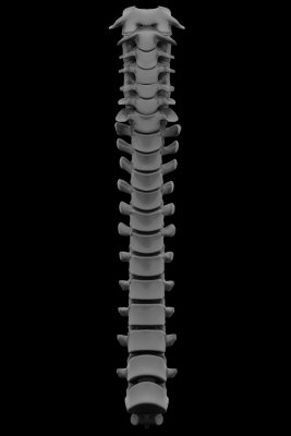 r40.jpg