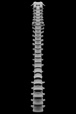 r52.jpg