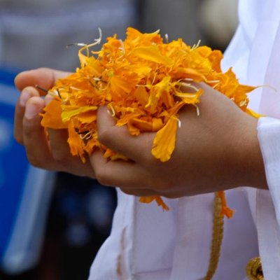 OFFERINGS