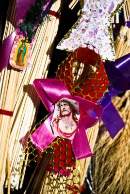 PALM SUNDAY