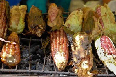 MAIZE