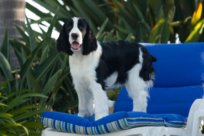 Armani, 7 months