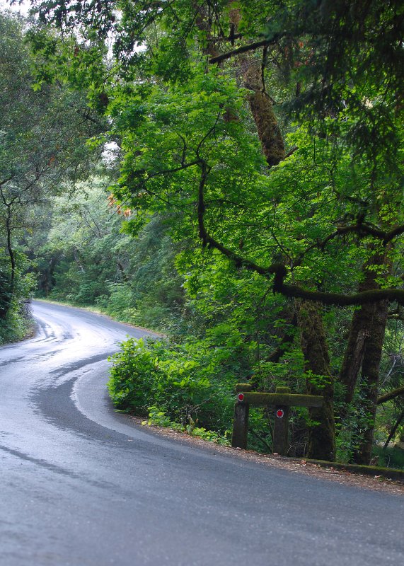 Sonoma area