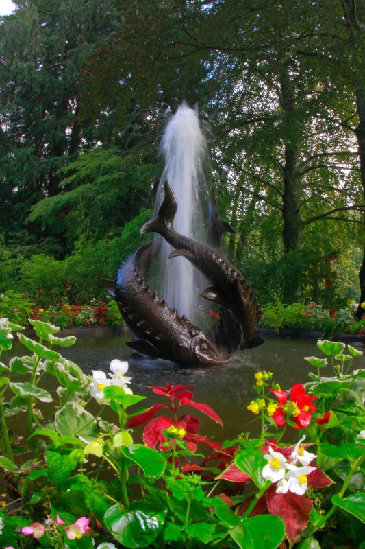 Butchart Gardens