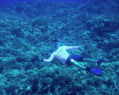 Snorkeling Tiputi pass