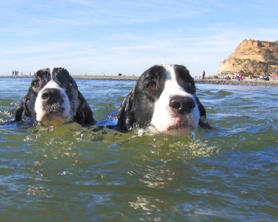 Georgio & Armani Swimming