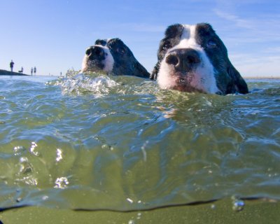 Georgio & Armani Swimming