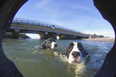 Georgio & Armani Swimming