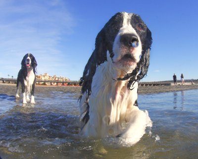Georgio & Armani Swimming
