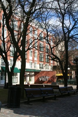 IMG_3737.jpg