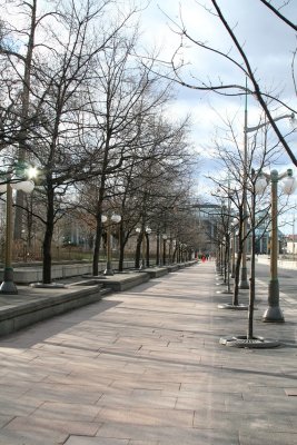 IMG_3784.jpg