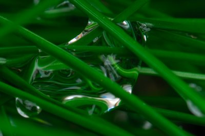 Water droplet in grass
