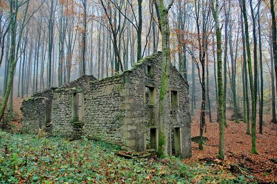 Ruine - Vosges