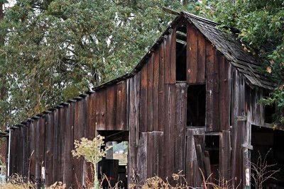 Old Barn #4