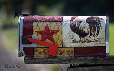 Country Chicken Mail Box