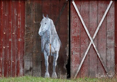 Horse Mural on Barn