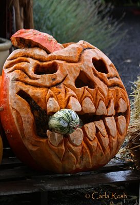 The Jack O' Lantern 