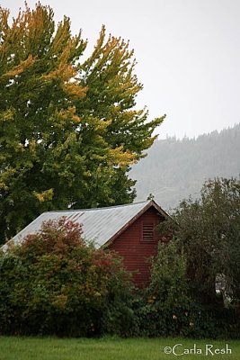 Barn in the Trees