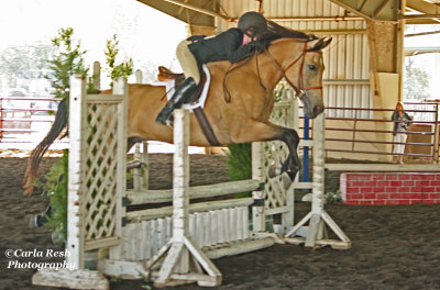 Hunter/Jumper show 9/16/12 Expo