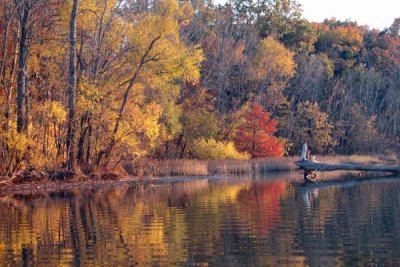 fall_color