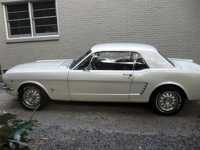 Classic Ford Mustangs