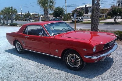 Classic Ford Mustangs