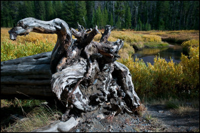 WM---2008-09-18--2052--Yellowstone---Alain-Trinckvel-3.jpg