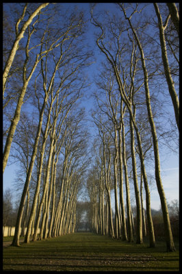 W-2008-02-24 - 0197 - Versailles - Alain Trinckvel.jpg