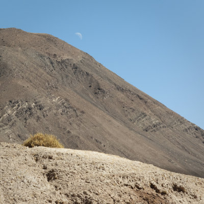 W-2009-08-19 -1878- Atacama - Alain Trinckvel.jpg