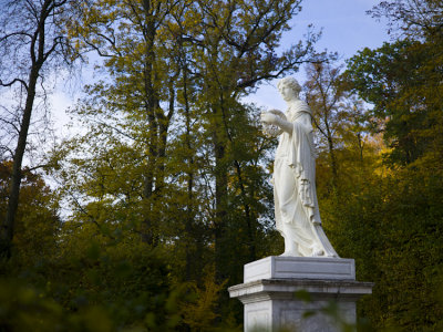 W - 2010-11-01-0126- Versailles -Photo Alain Trinckvel.jpg