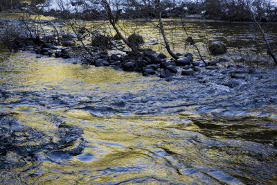 W-2011-02-09-0232- Yosemite -Photo Alain Trinckvel.jpg