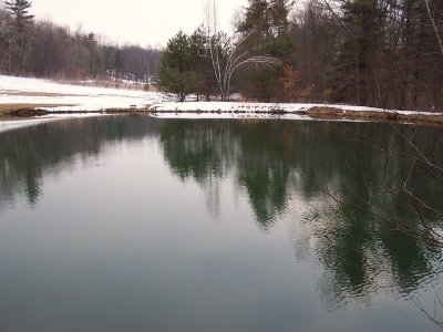 100_4109 800x600.JPG