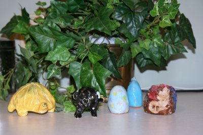 IMG_1401 800x600.JPG
