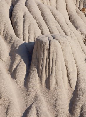_MG_6656.jpg