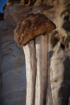 _MG_6690.jpg