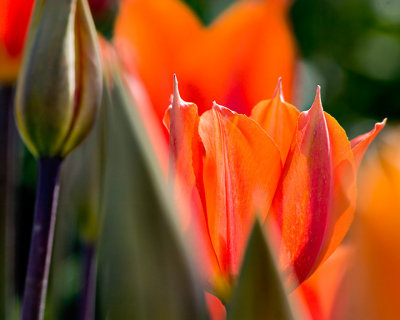 CRW_4592w.jpg