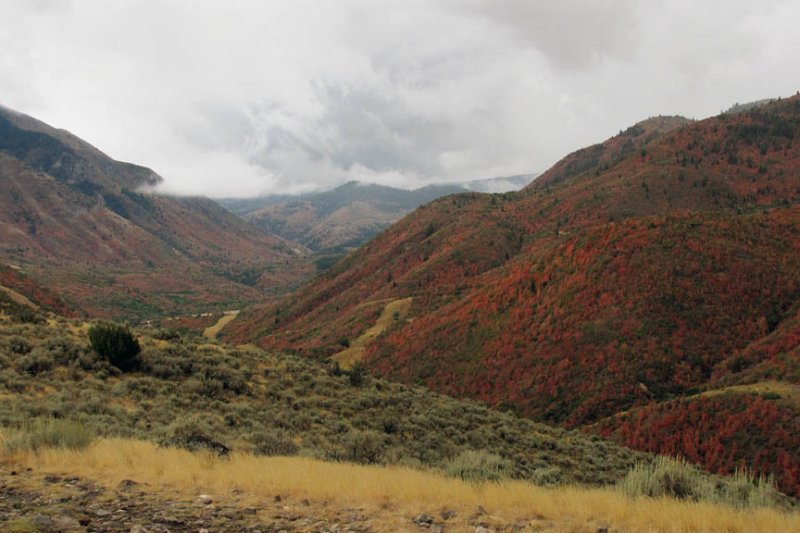 Payson Canyon 10_05_10.jpg