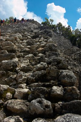 DSC_7648.JPG