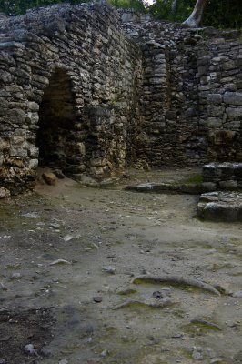 DSC_7674.JPG